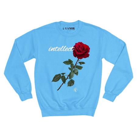 Light-blue Intellect Sweatshirt - motivational streetwear apparel by Lamir Collection